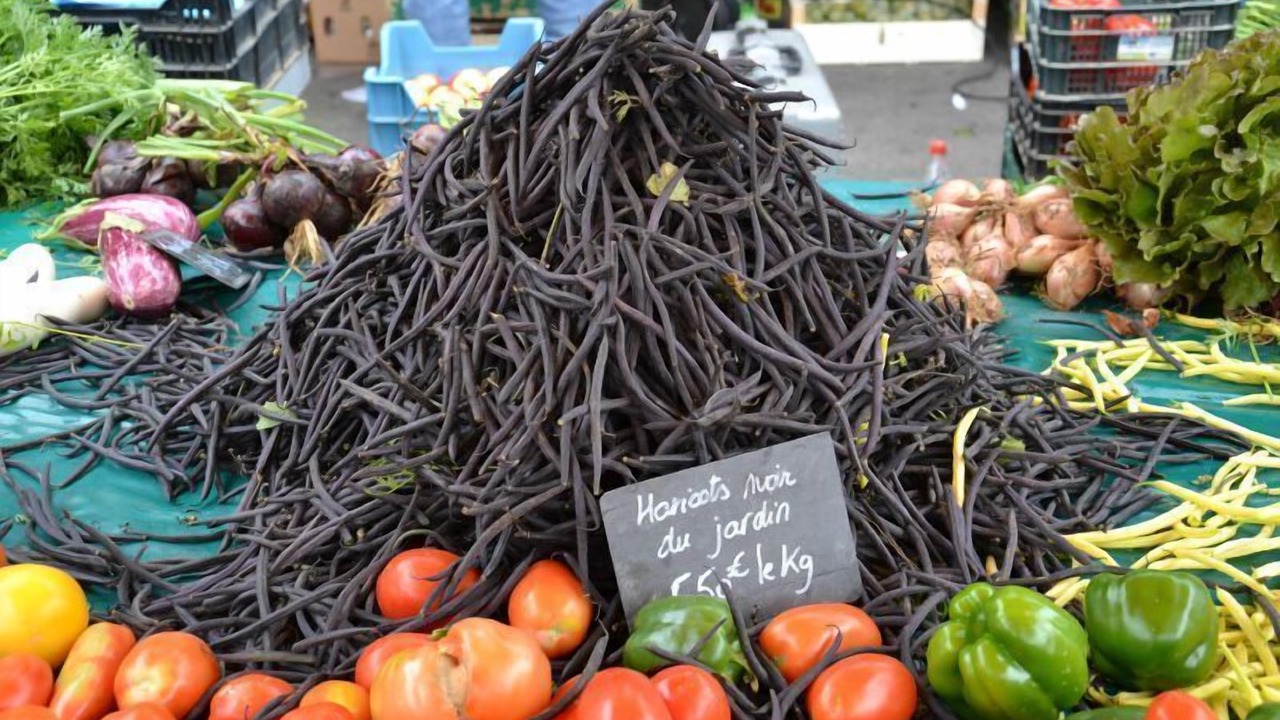 Photo of Others in Le Faulq