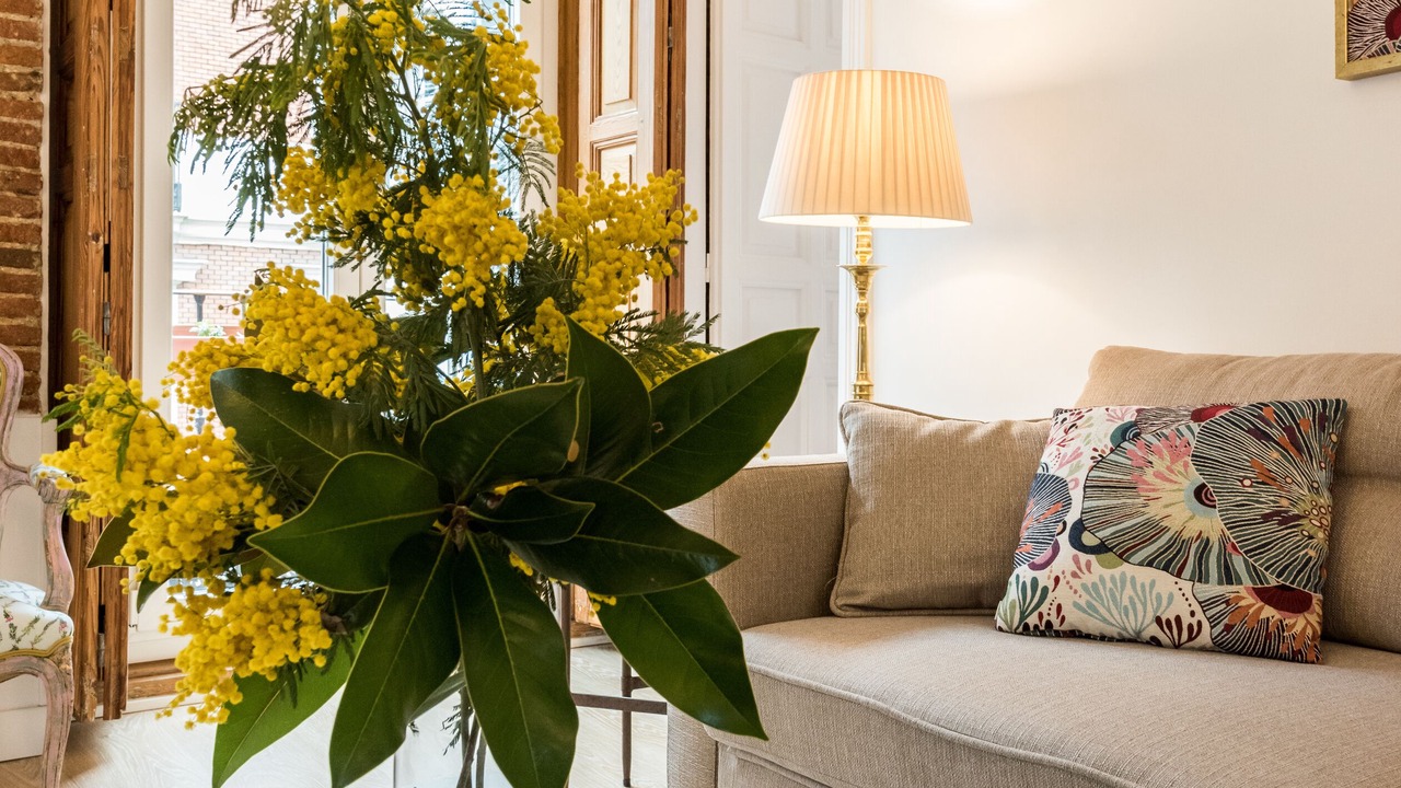 Photo of Livingroom in Golden Triangle of Art