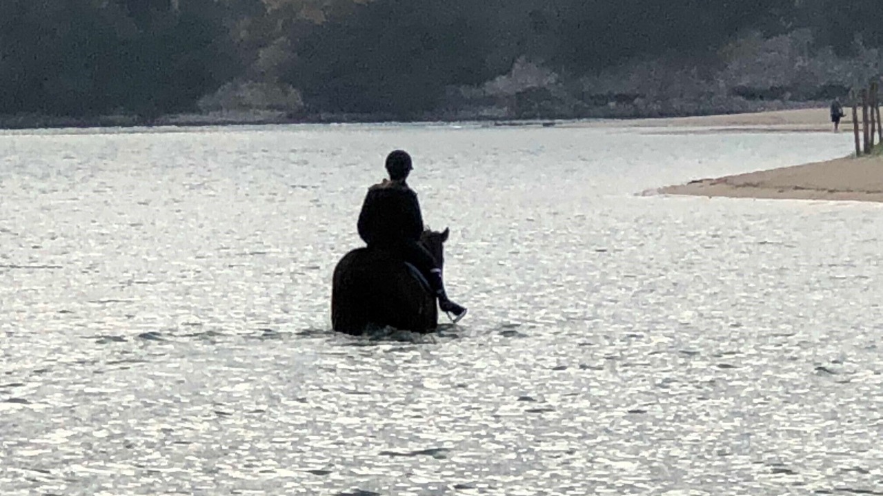 Photo of Others in Sables-d'Or-les-Pins