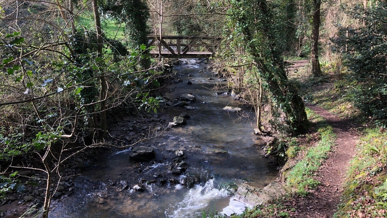 Photo of Outdoor in Sables-d'Or-les-Pins