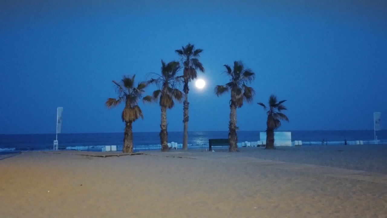 Photo of Others in Playa de San Juan