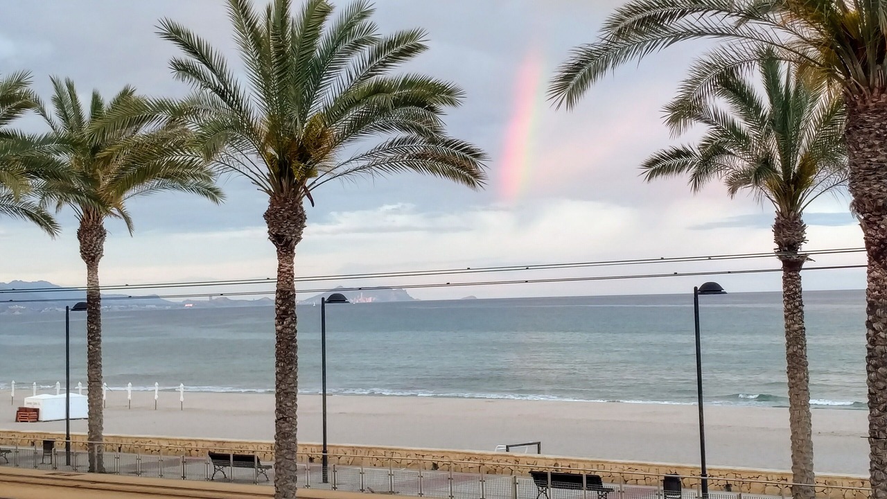 Photo of Others in Playa de San Juan