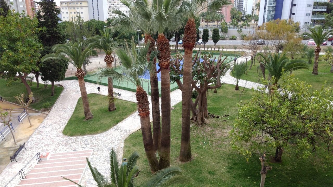 Photo of Outdoor in Playa de San Juan