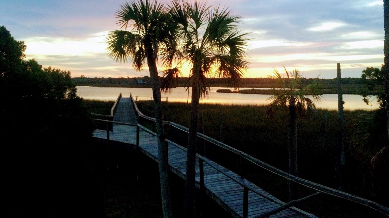 Photo of Others in Old Homosassa