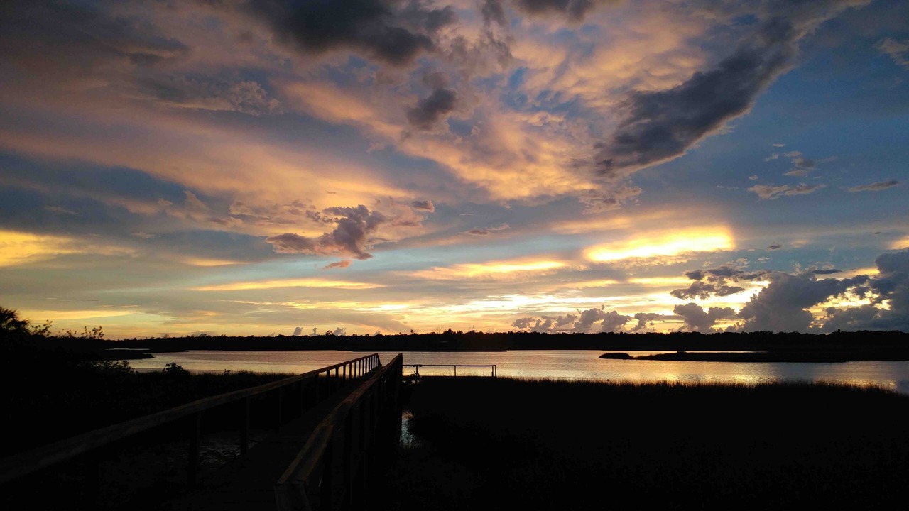 Photo of Others in Old Homosassa