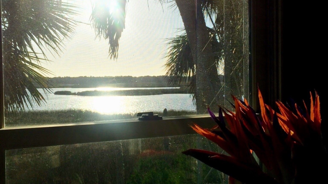 Photo of Others in Old Homosassa