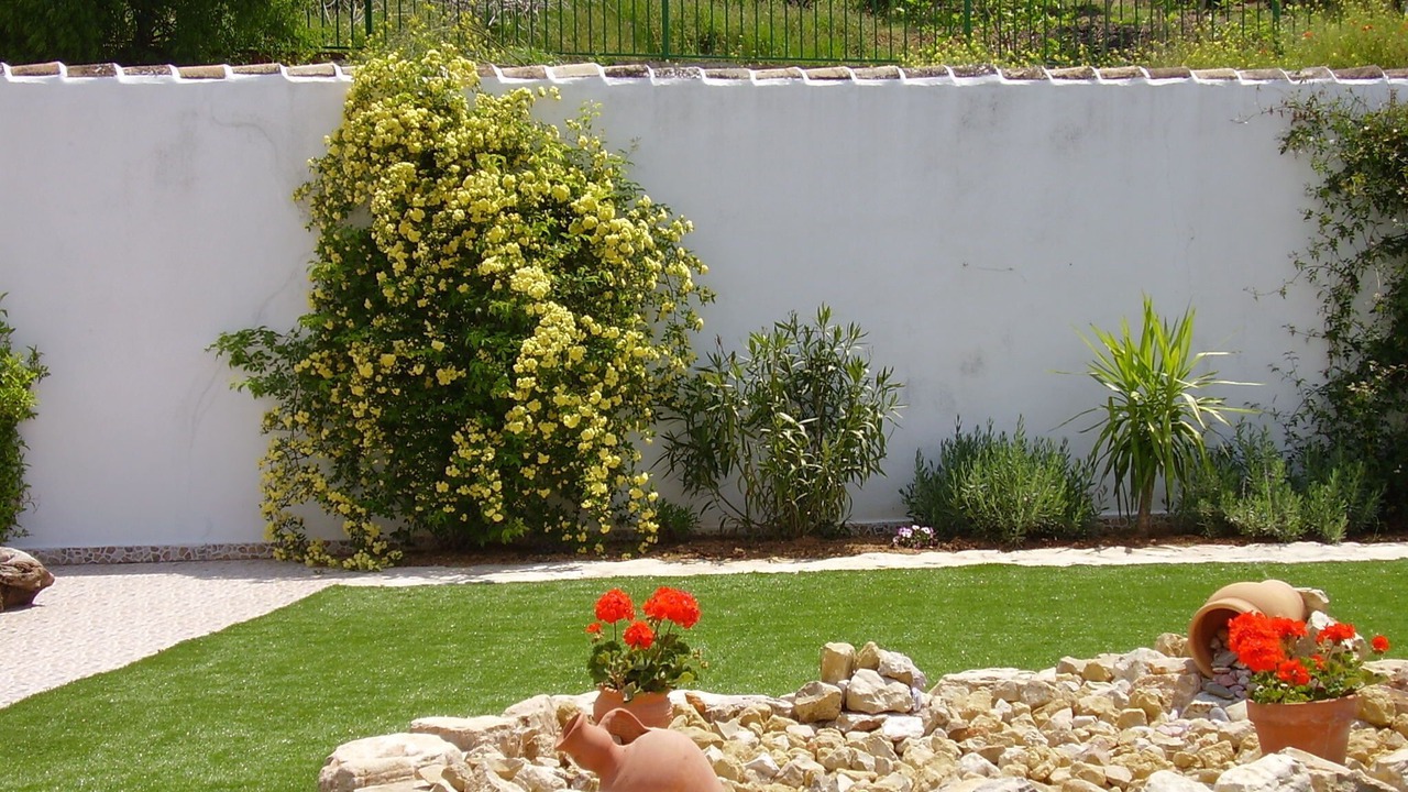 Photo of Outdoor in Fuente del Conde