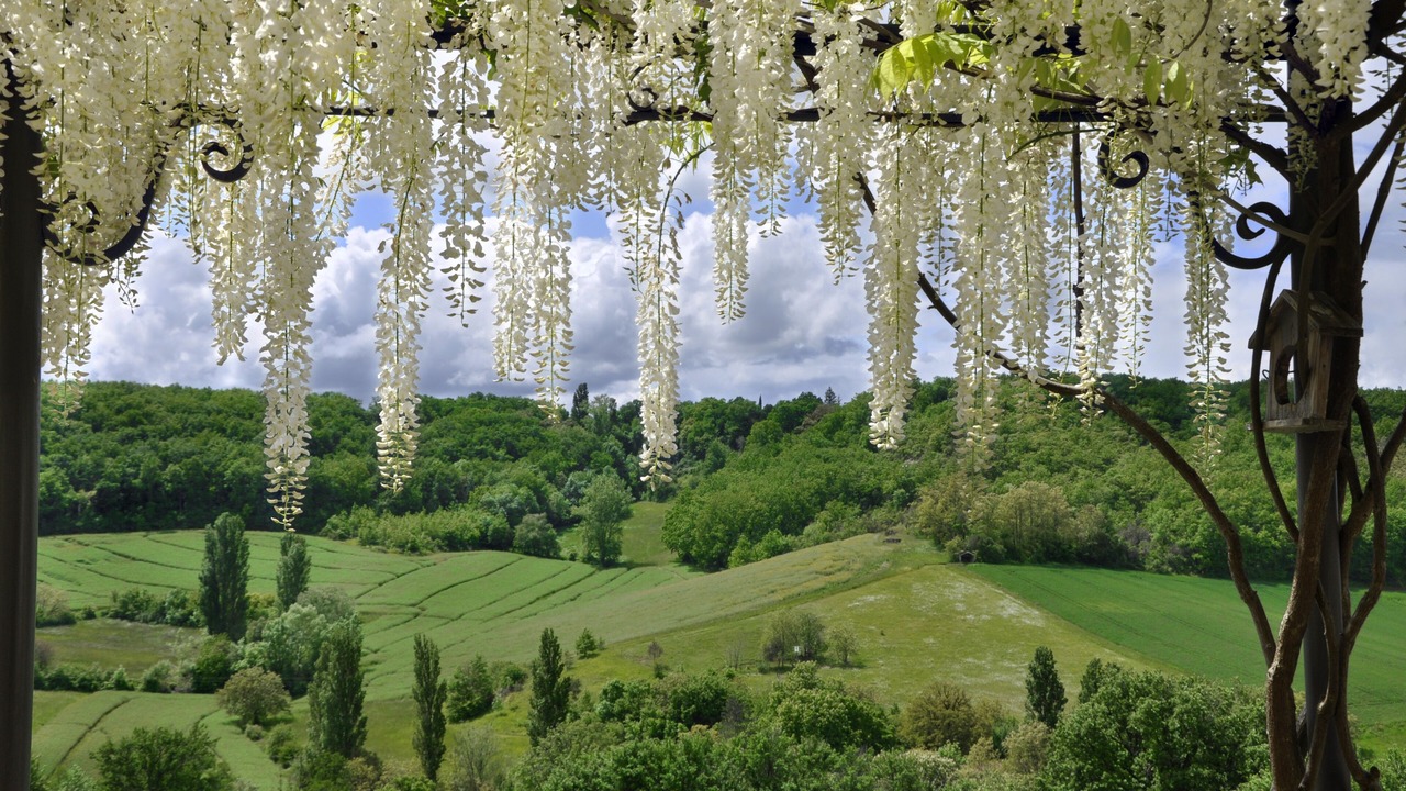 Photo of Outdoor in Penne-d'Agenais
