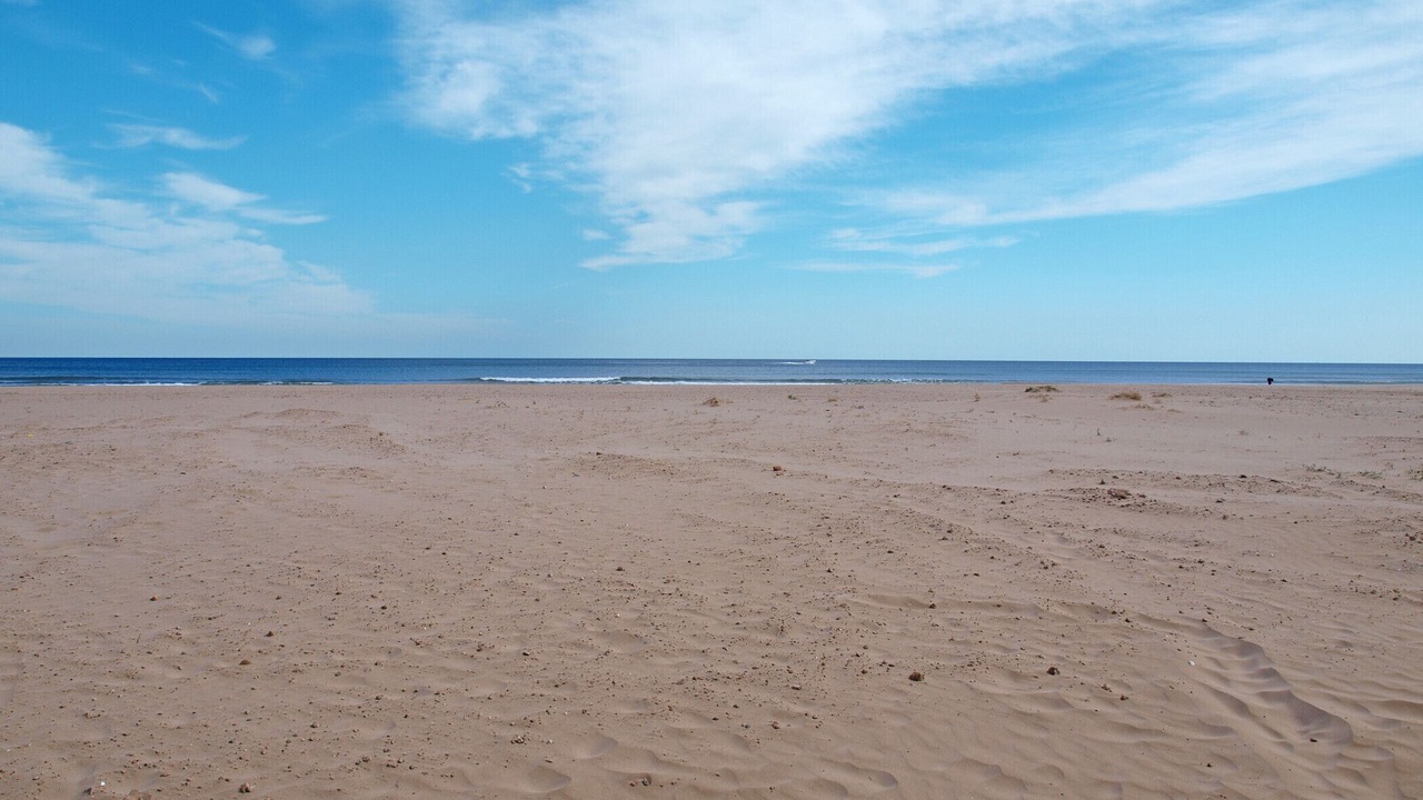 Photo of Others in Alboraya