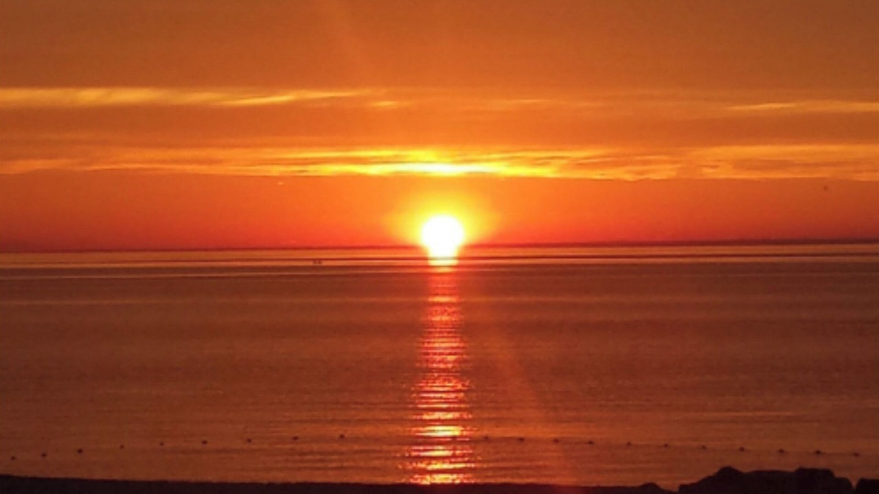 Photo of Others in Wading River