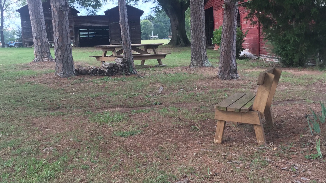 Photo of Outdoor in Albemarle