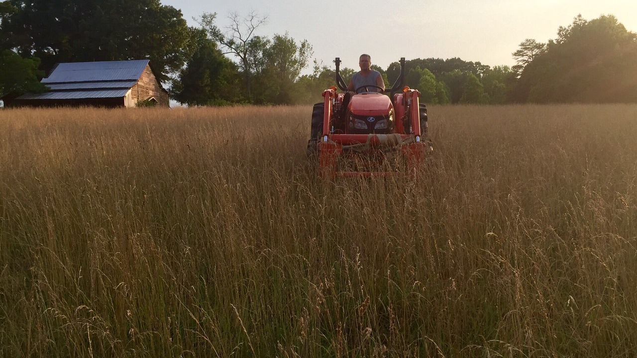 Photo of Others in Albemarle