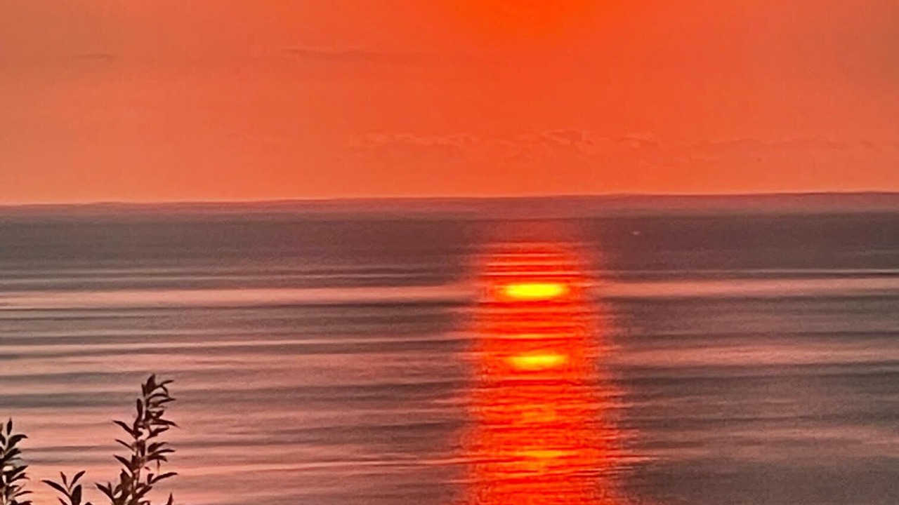 Photo of Others in Wading River