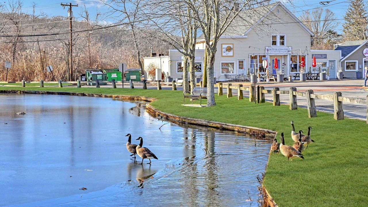 Photo of Others in Wading River