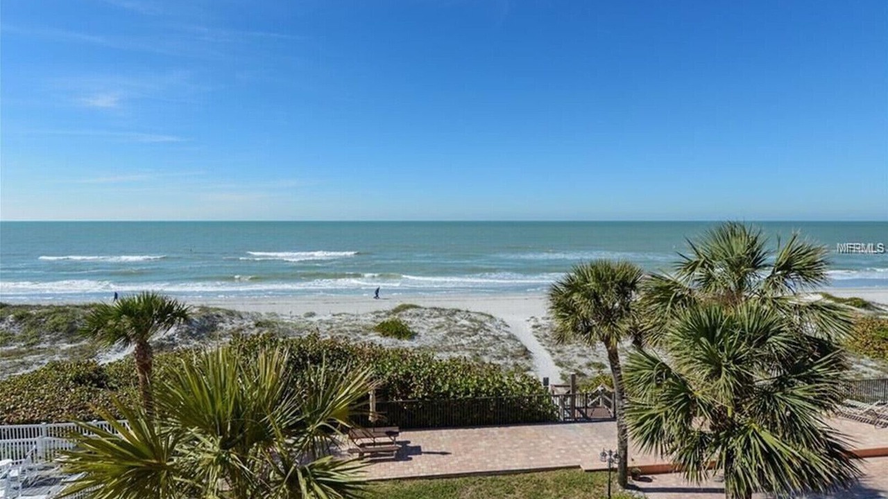 Photo of Others in Indian Rocks Beach