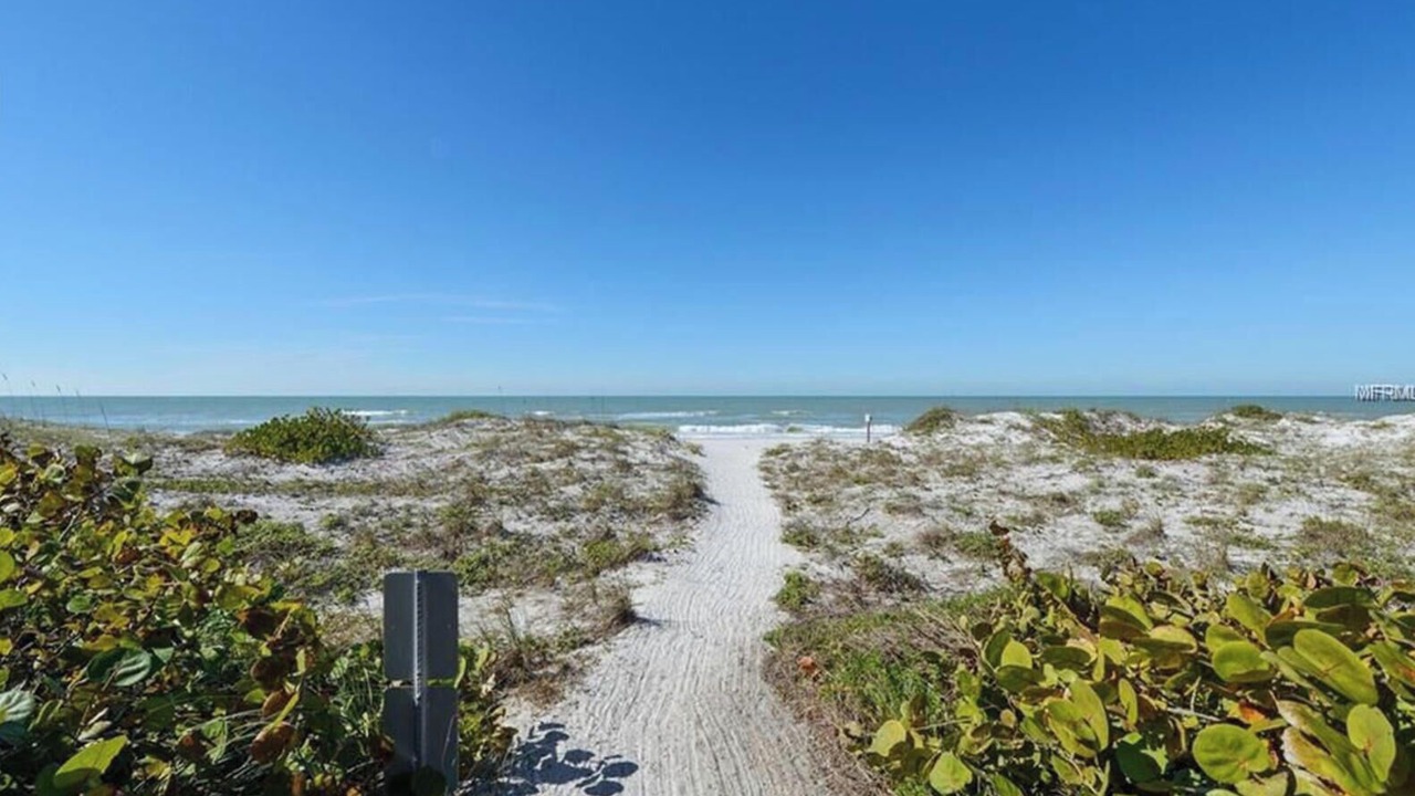 Photo of Others in Indian Rocks Beach