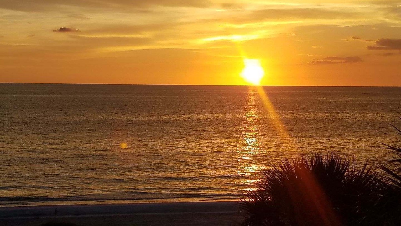 Photo of Others in Indian Rocks Beach