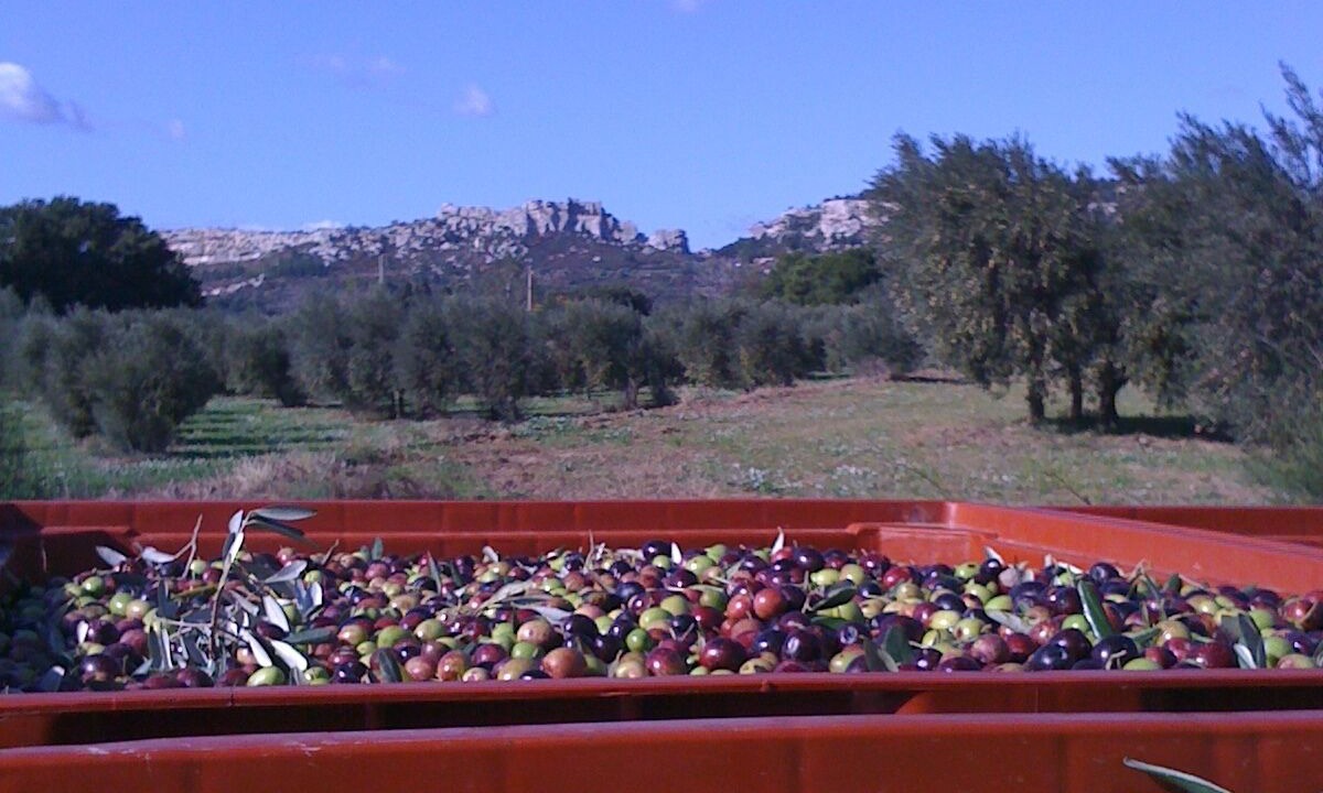 Photo of Outdoor in Tarascon