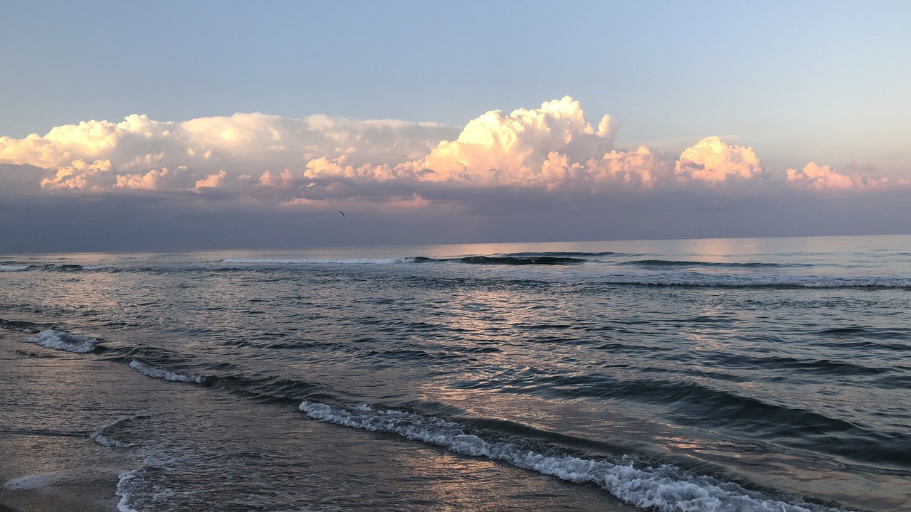 Photo of Others in North Beach Haven