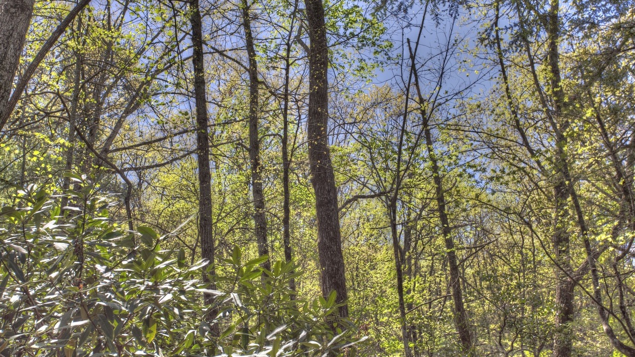 Photo of Outdoor in Wiley