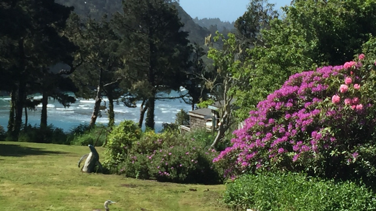 Photo of Others in Mendocino