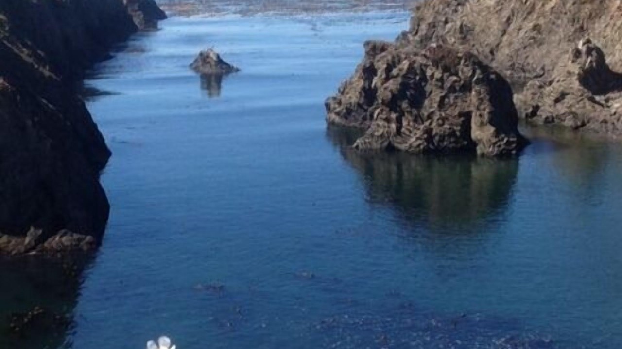 Photo of Others in Mendocino