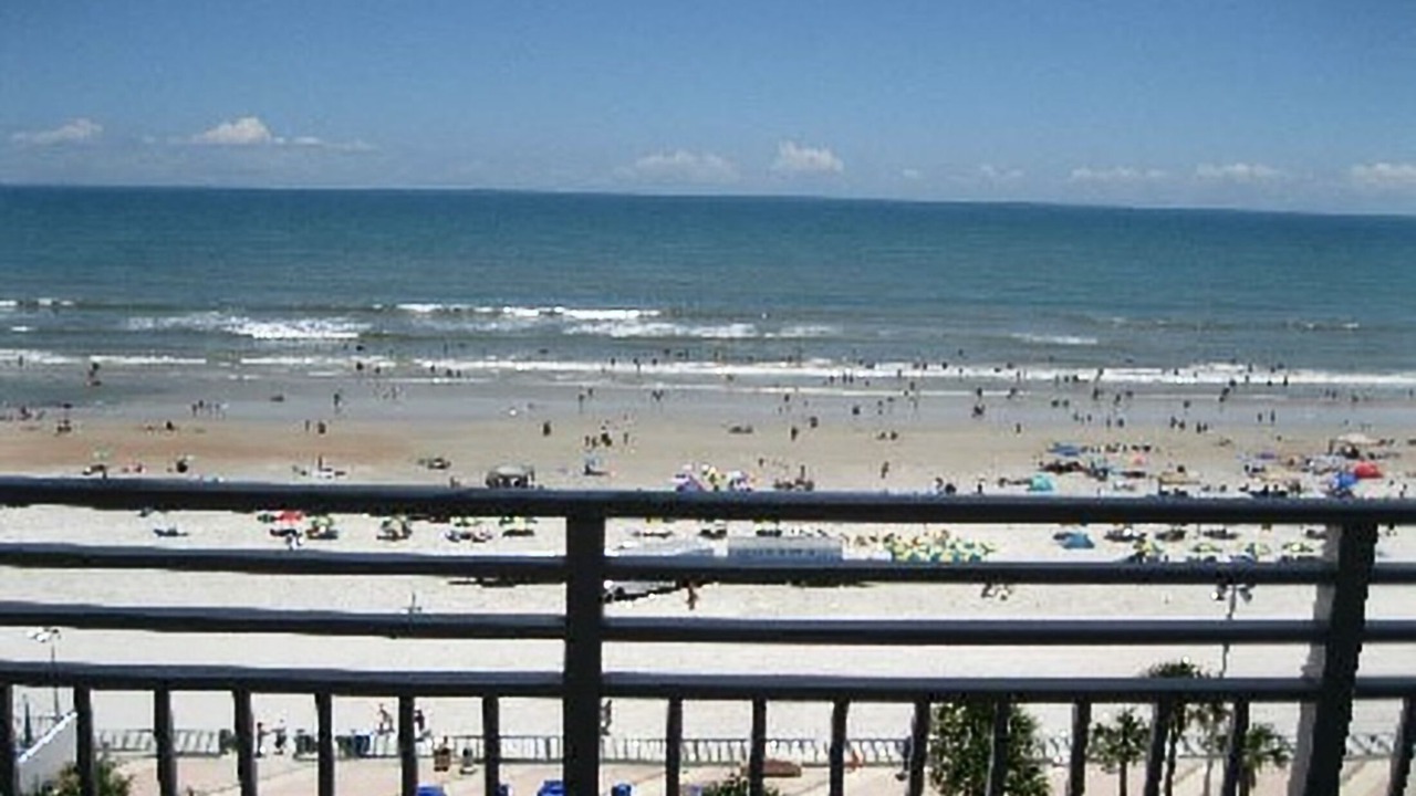 Photo of Others in Daytona Beach