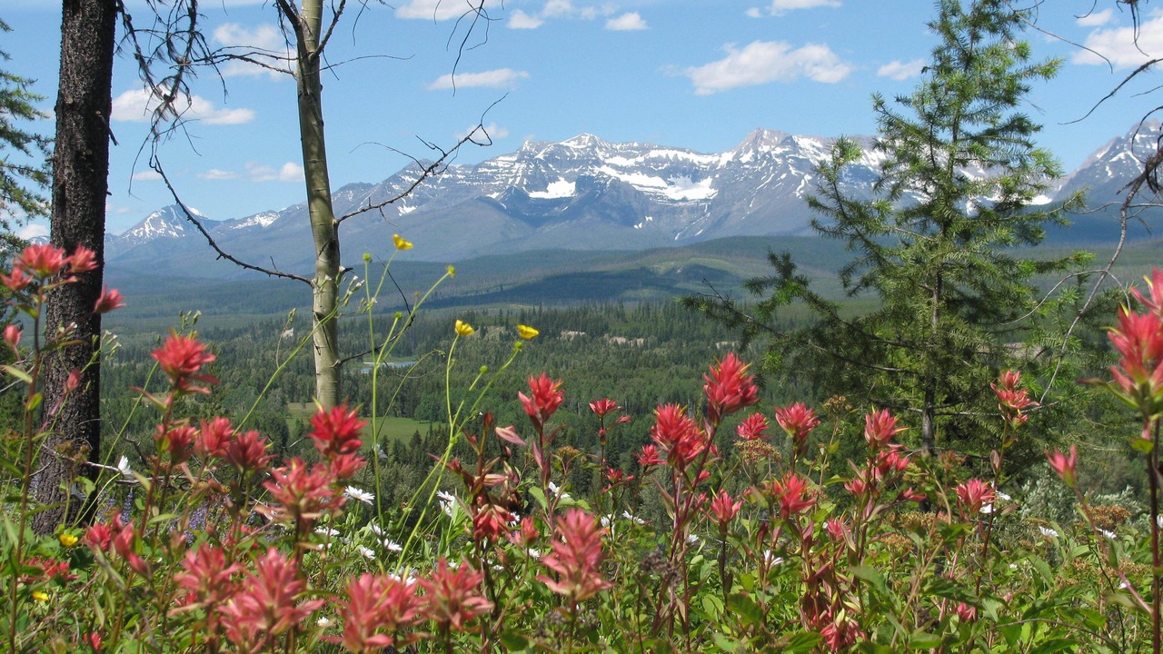 Photo of Outdoor in Polebridge