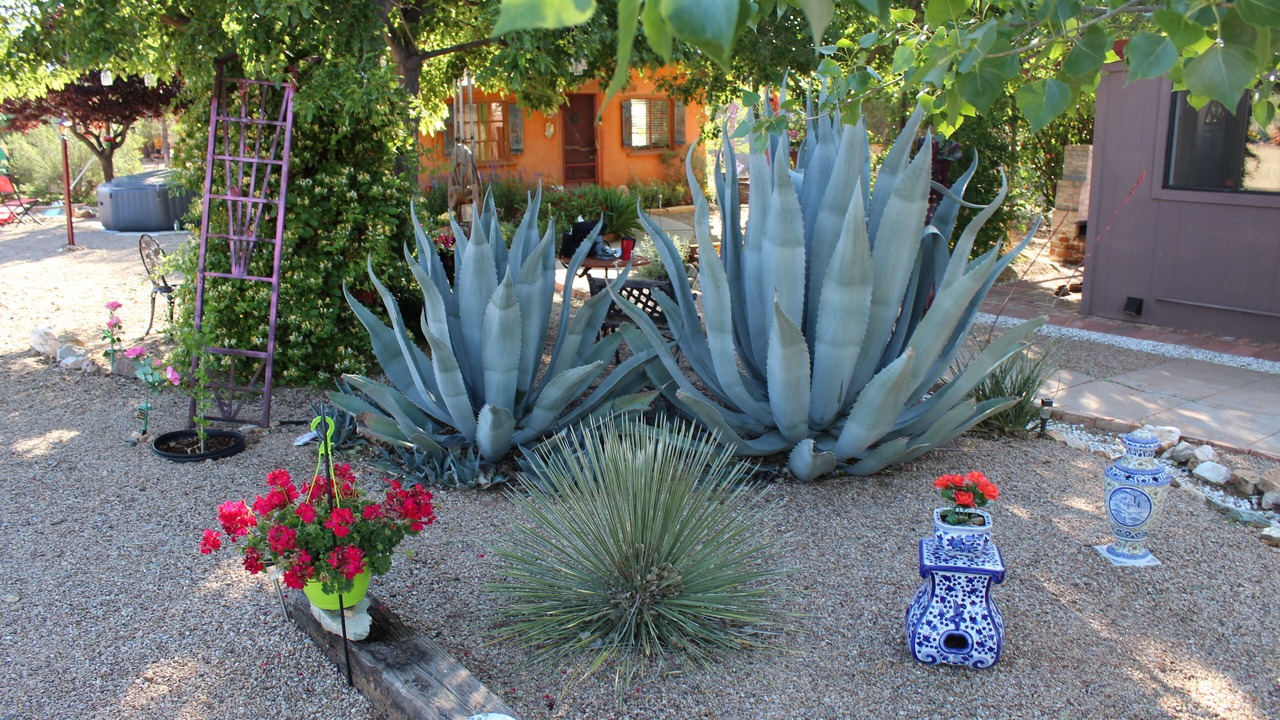 Photo of Outdoor in Dragoon