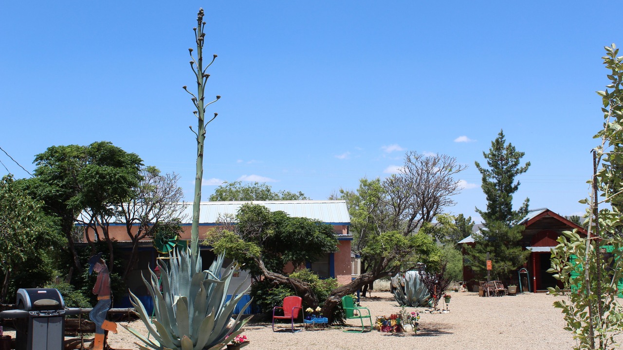Photo of Outdoor in Dragoon