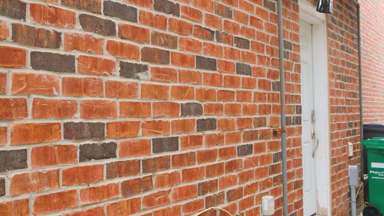 Photo of Others in Mount Pleasant