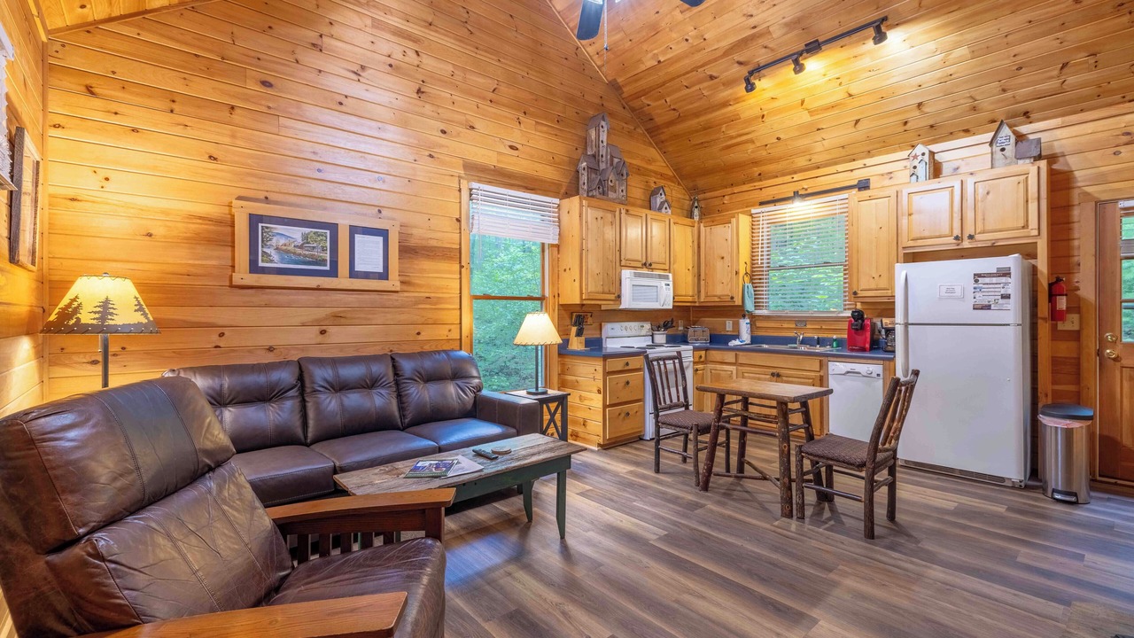 Photo of Livingroom in Sautee Nacoochee