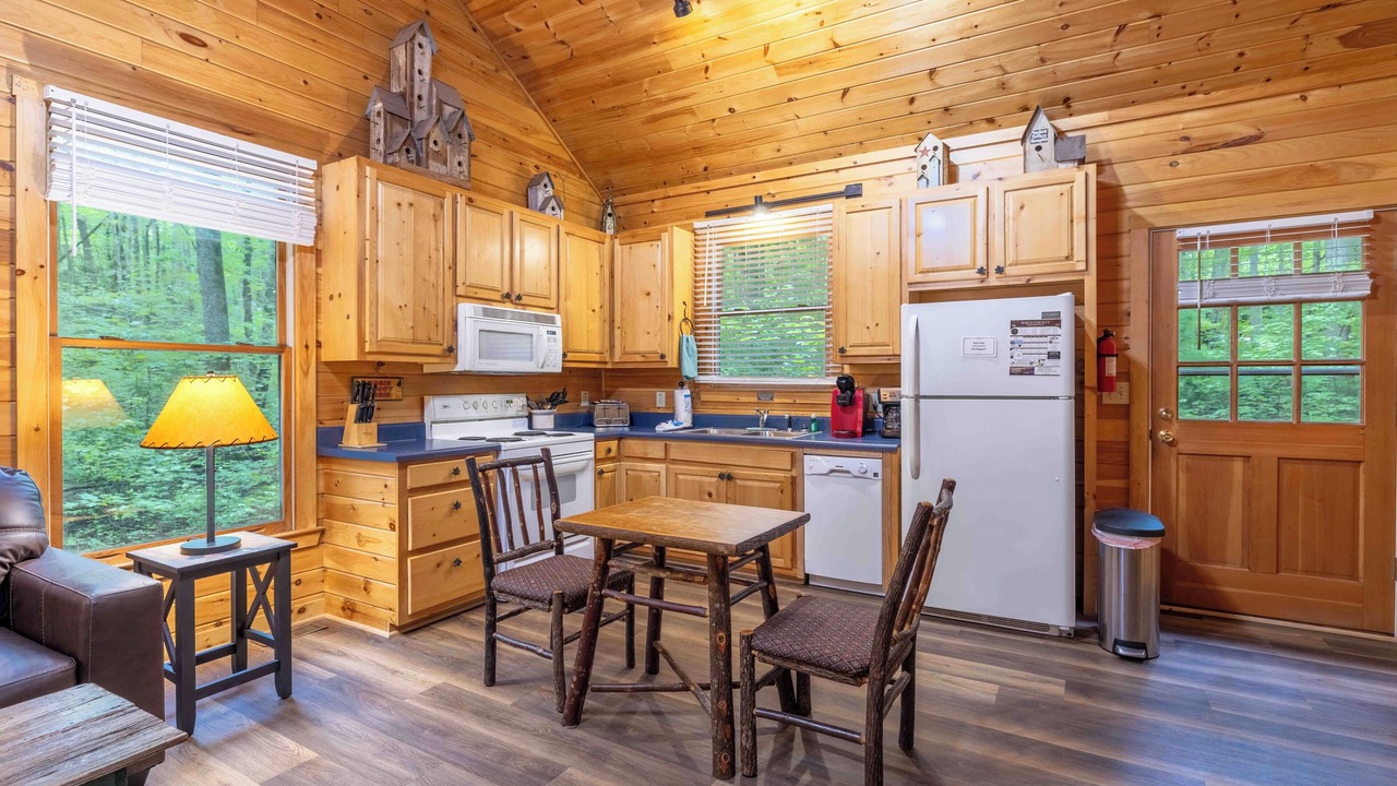 Photo of Kitchen in Sautee Nacoochee