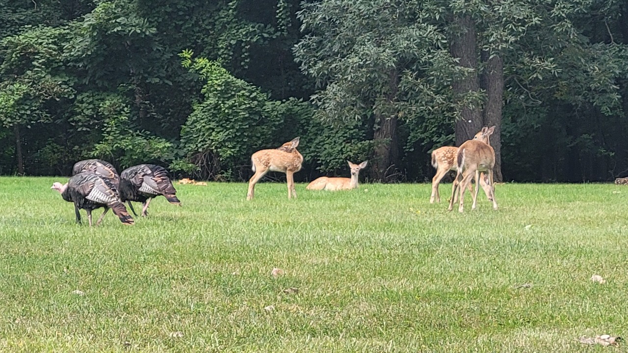 Photo of Outdoor in West Bloomfield