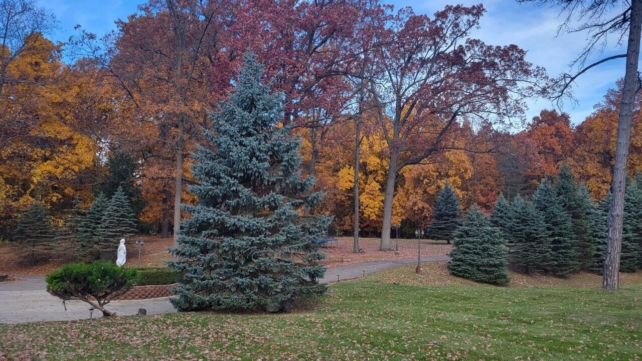 Photo of Outdoor in West Bloomfield