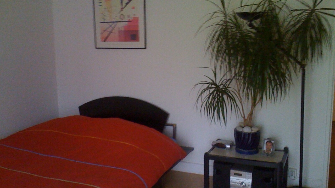 Photo of Bedroom in Quartier de Javel
