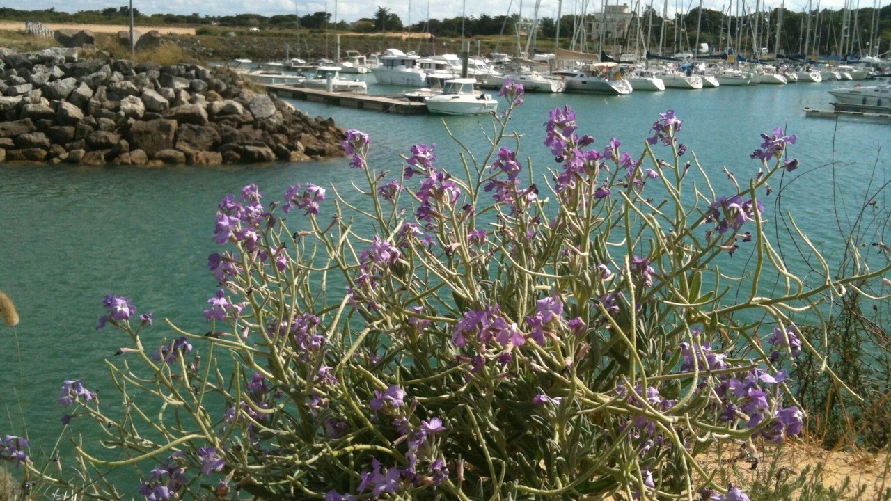 Photo of Others in La Bree-les-Bains