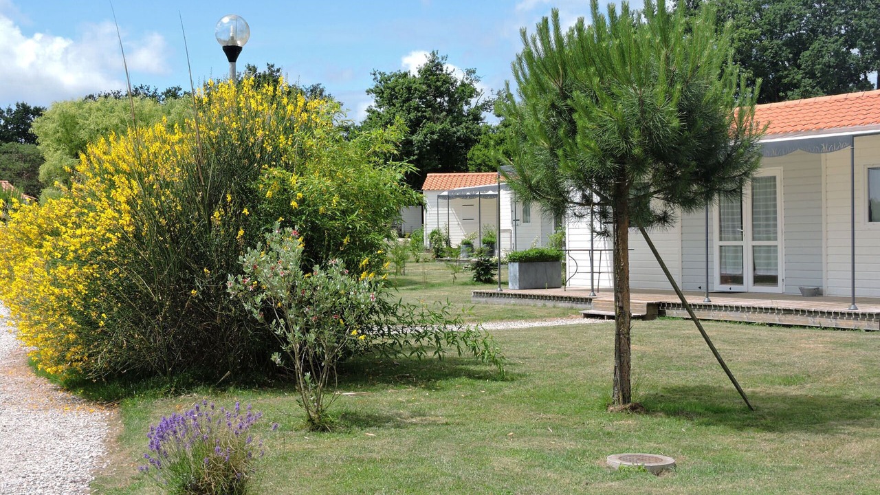 Photo of Outdoor in La Roche-sur-Yon