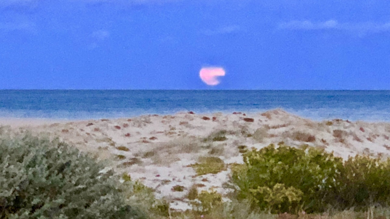Photo of Others in Port Leucate