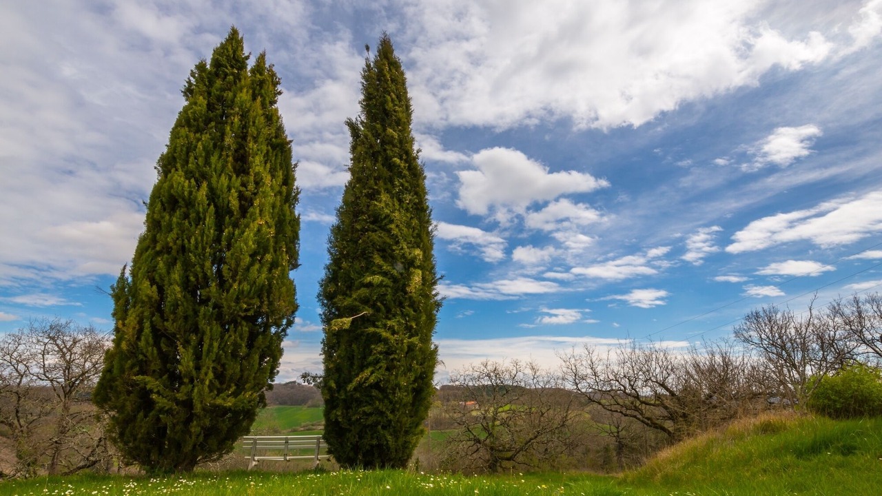 Photo of Outdoor in Puybegon
