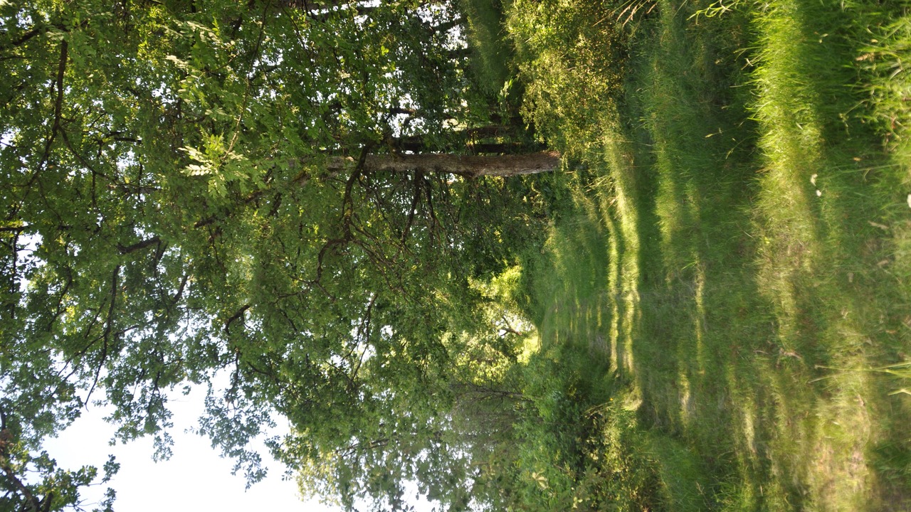 Photo of Outdoor in Puybegon