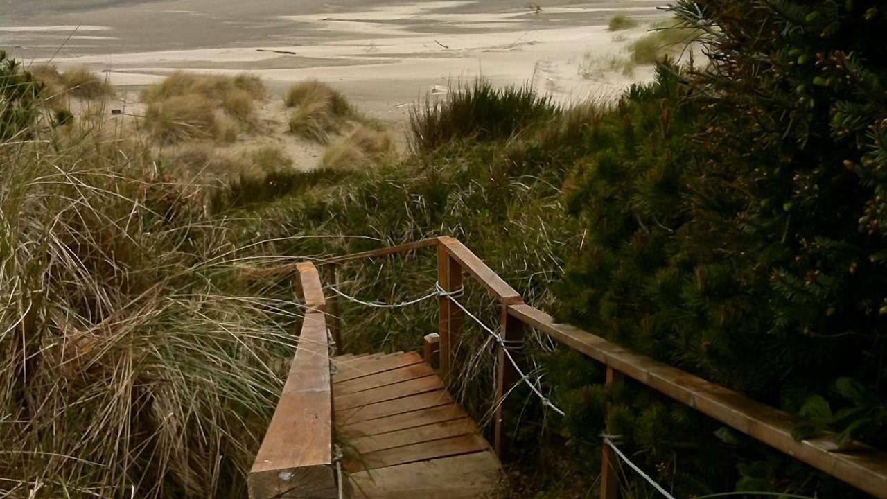 Photo of Others in Waldport