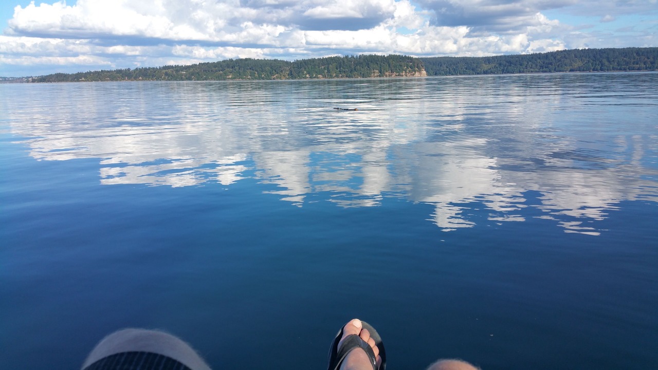 Photo of Outdoor in Anderson Island