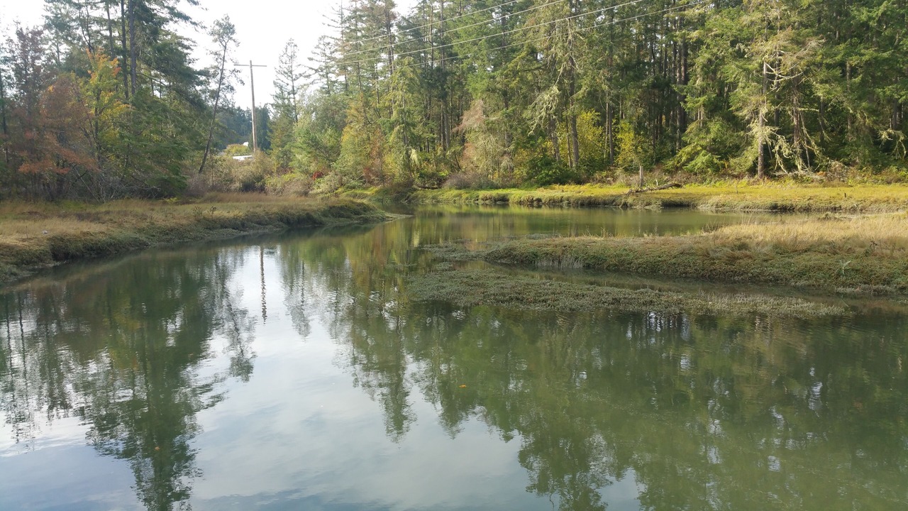 Photo of Others in Anderson Island