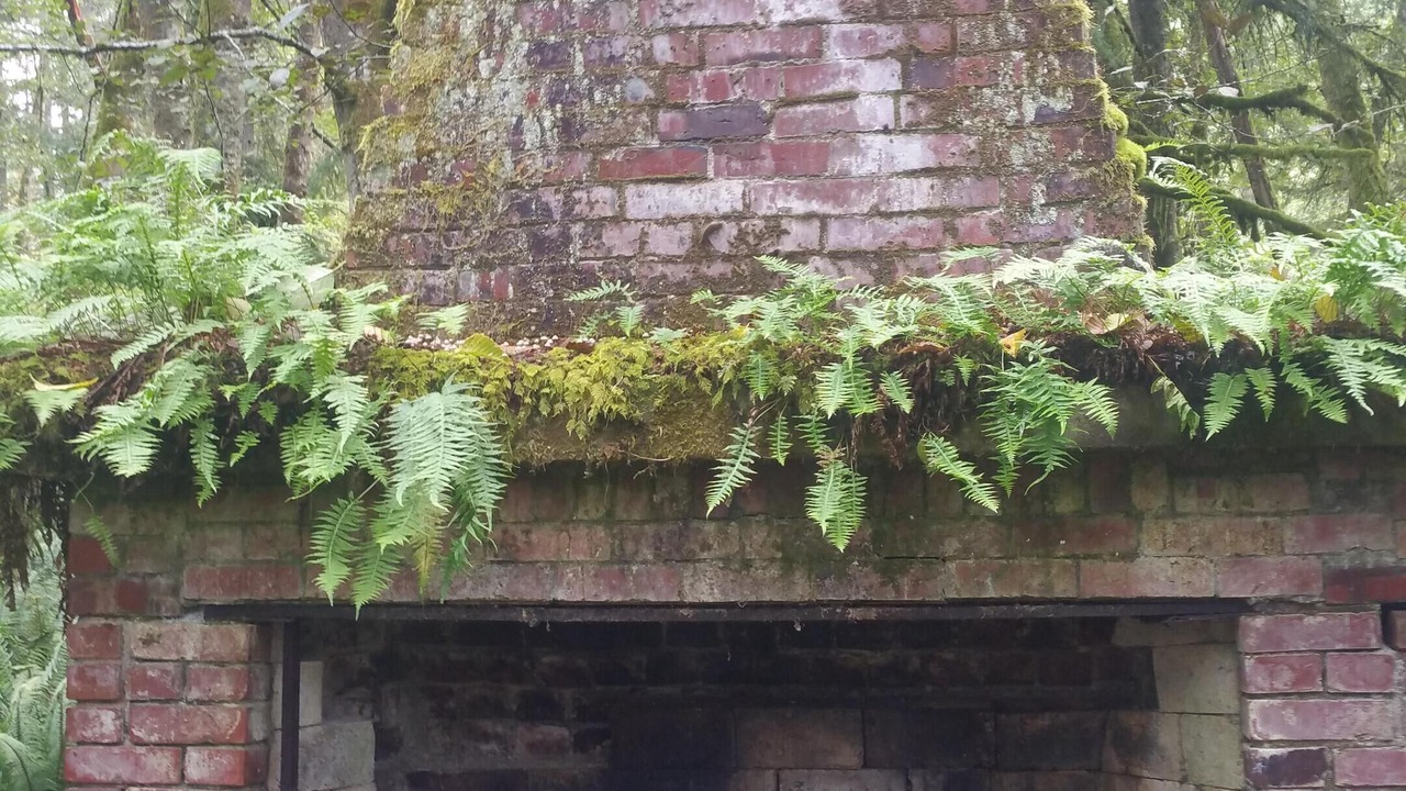 Photo of Others in Anderson Island