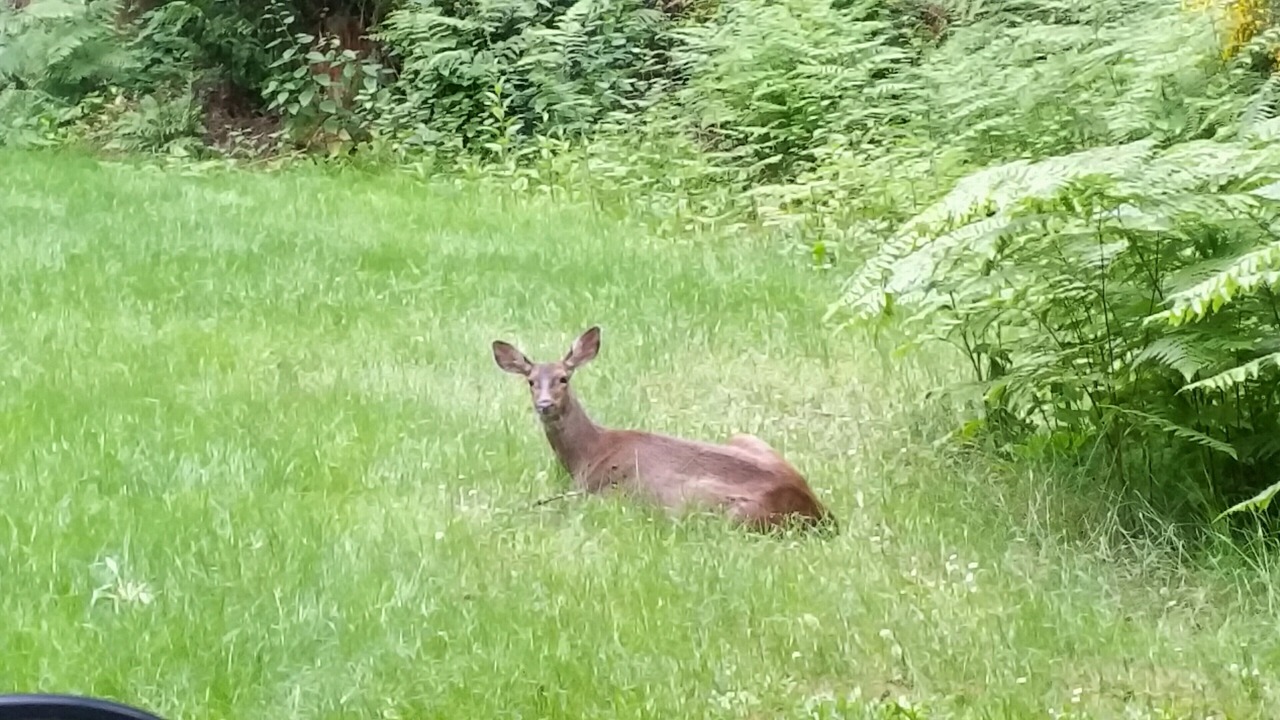 Photo of Others in Anderson Island