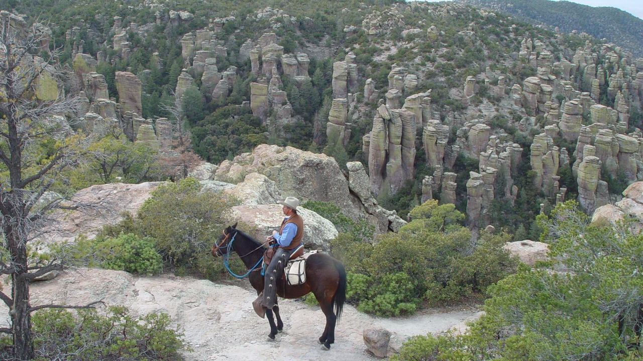 Photo of Others in Dragoon