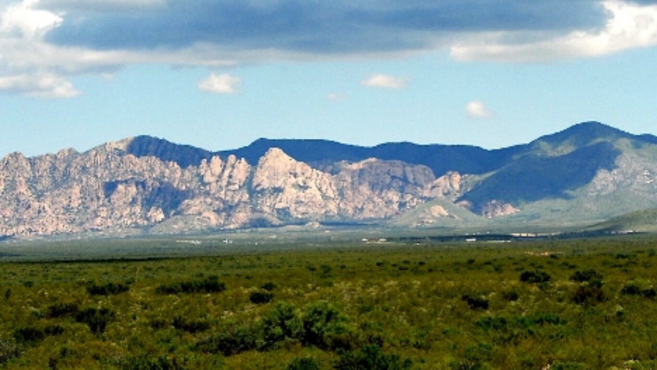 Photo of Outdoor in Dragoon