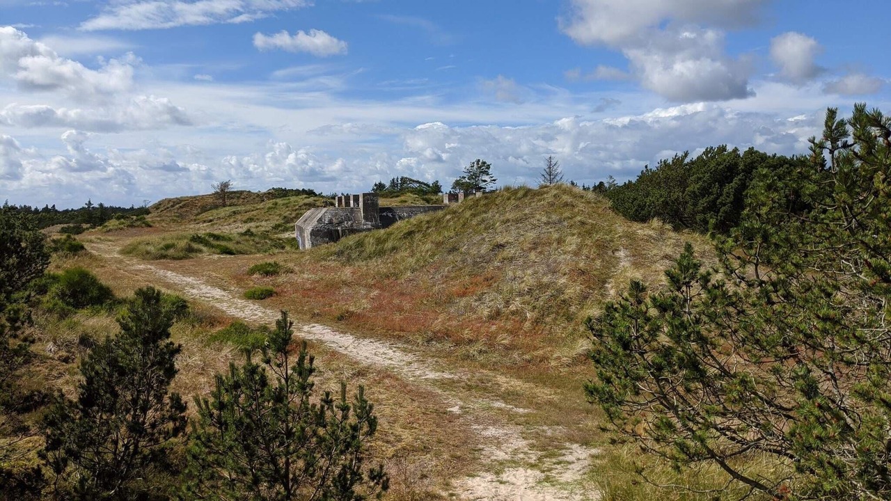 Photo of Others in Blavand