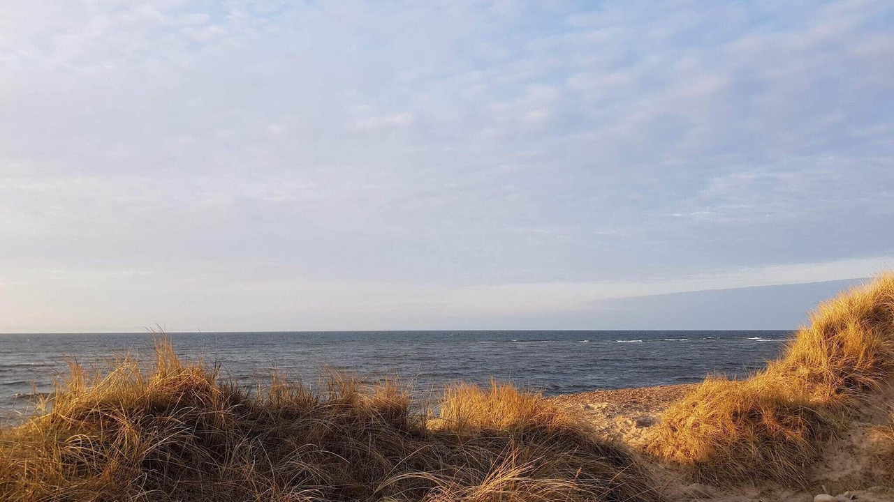 Photo of Others in Lild Strand
